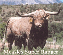 MEASLES' SUPER RANGER